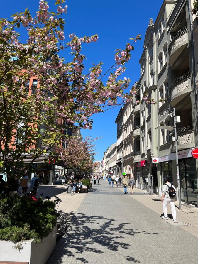 Sloneczny Apartament Centrum Poznania Klimatyzacja Wi-Fi Tv Zmywarka Pralka Piekarnik Exteriér fotografie